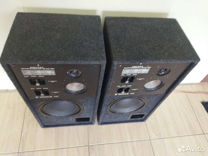 Колонки Радиотехника 35ас-201