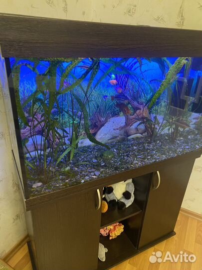 Аквариум с тумбой 300 литров