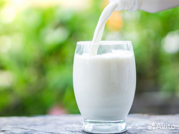 Козье молоко породы Камори домашнее S1