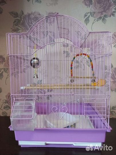 Клетка для попугая