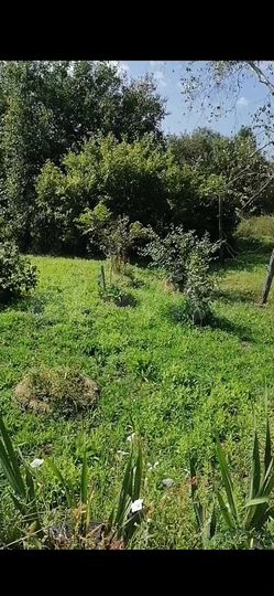 Участок 6 сот. (СНТ, ДНП)