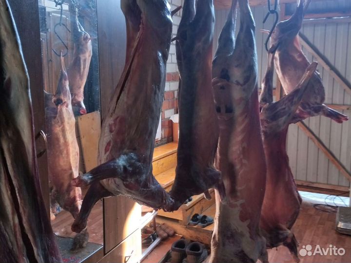 Мясо баранина халяль