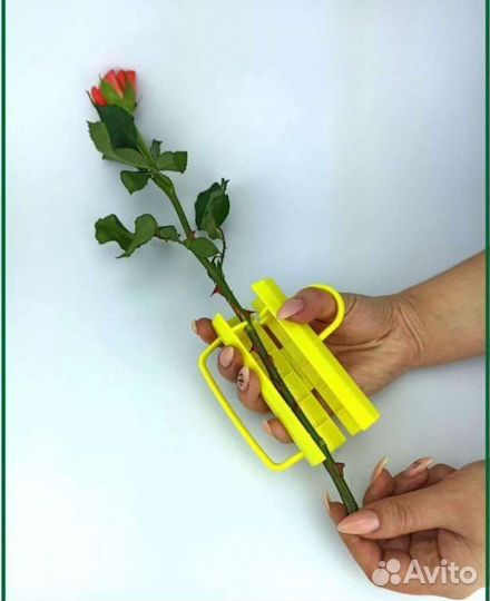 Шипосниматель (очиститель, страйпер) для цветов