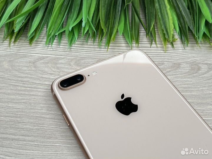 iPhone 8 Plus, 64 ГБ