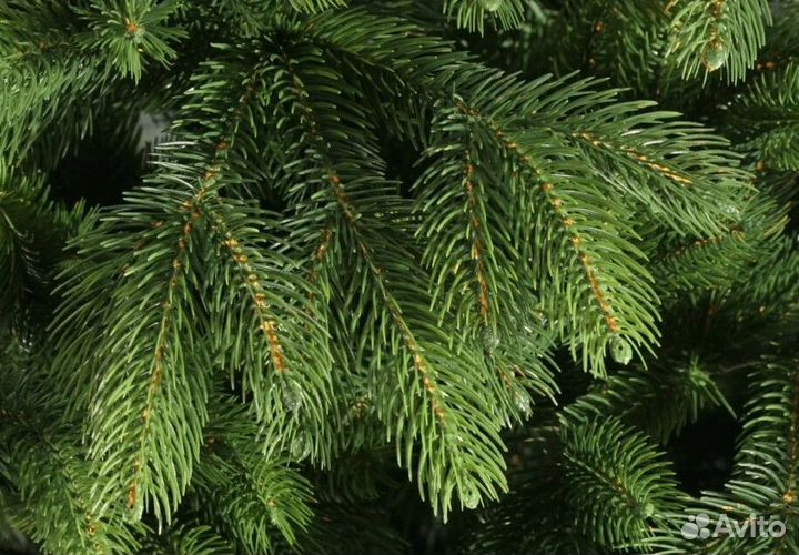 Новогодняя ель литая 2,1 м, premium