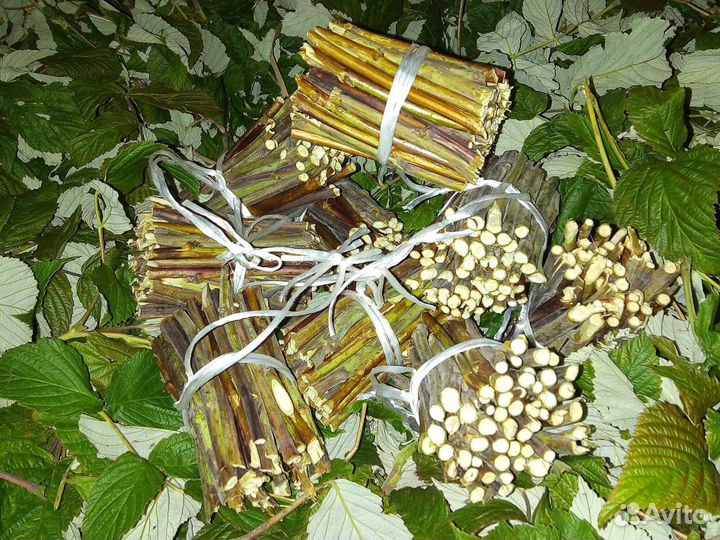 Малиновый чай