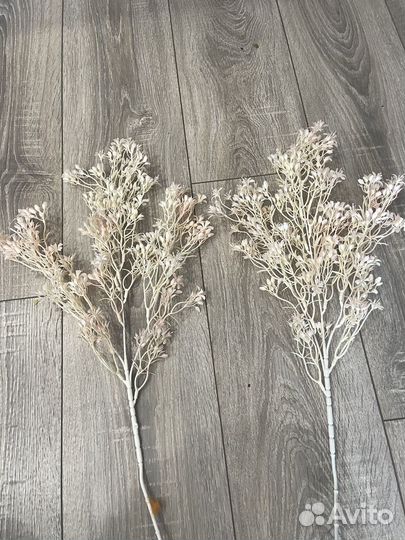 Декоративная зелень ветки