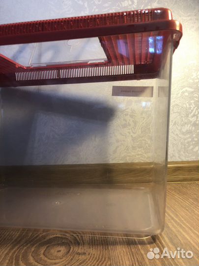 Террариум для рептилий