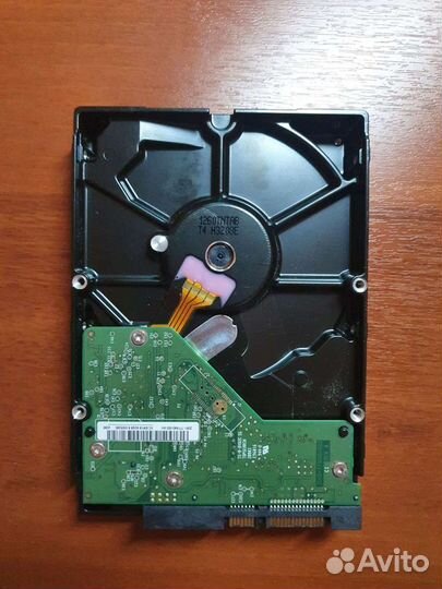 Жесткий диск WD 500Gb