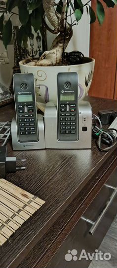 Домашний телефон motorola