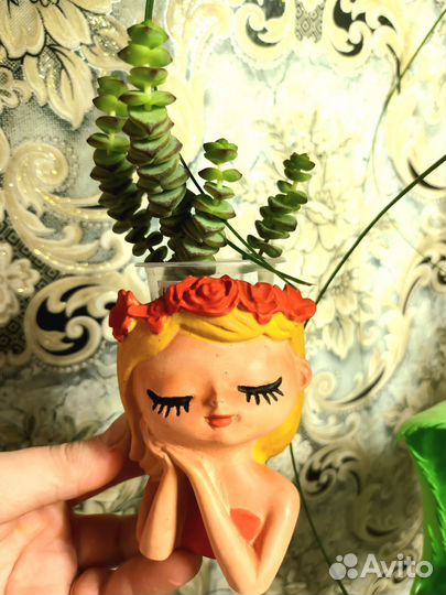 Кашпо для суккулентов