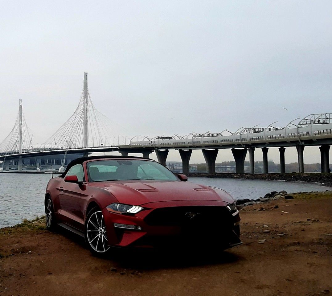 Ford Mustang: фото владельца