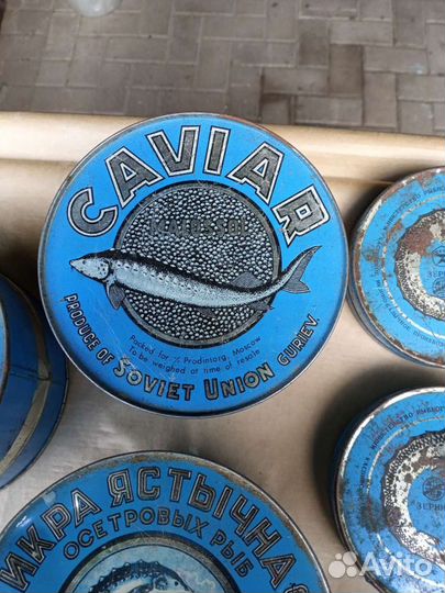 Банка из под икры