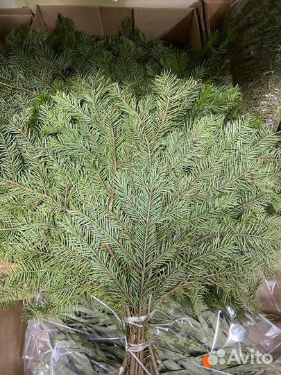 Банные веники в ассортименте