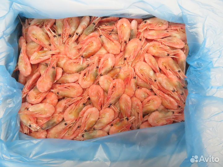 Северная креветка 90+