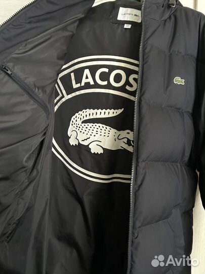 Пуховик lacoste