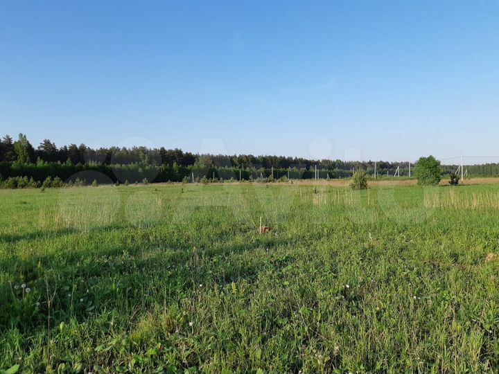 Участок 10 сот. (ИЖС)