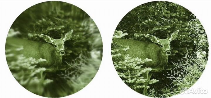 Ремонт бинокля, прицела, тепловизора, пнв