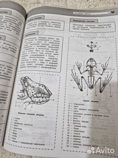 Справочник по биологии ОГЭ/ЕГЭ Мазур, Никитинская