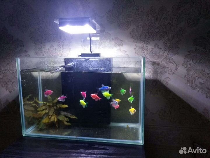 Фильтр Барбус комплекс био