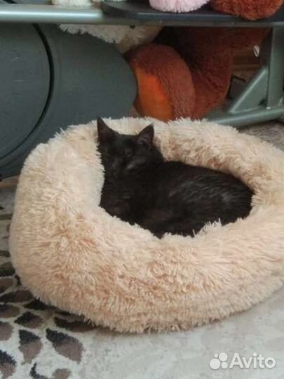 Кровать для домашних любимцев Сплюшка