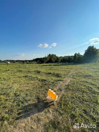 Башкирский мед