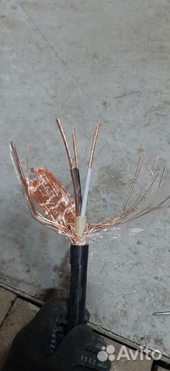 Кабель Мсск 3х10/10 0,6/1kV