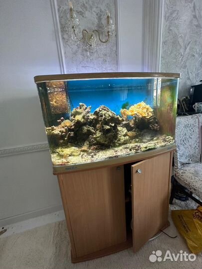 Морской аквариум 200 литров