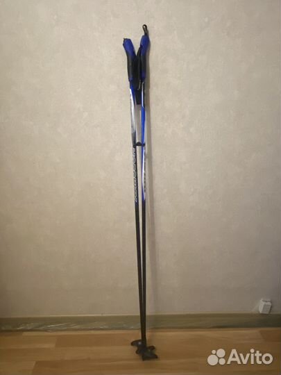 Лыжные палки