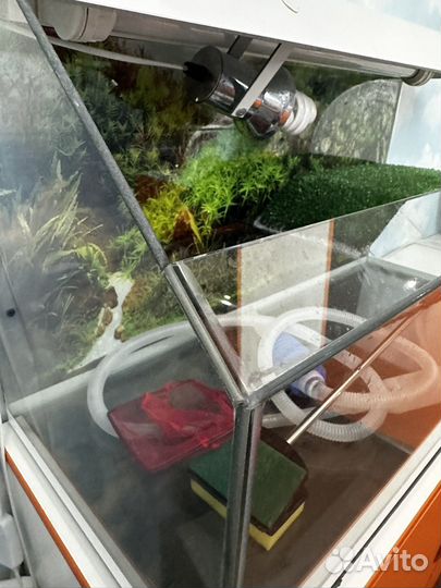 Террариум для красноухой черепахи