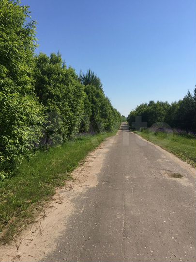 Участок 6 га (ИЖС)