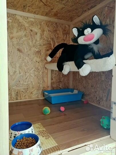 Зоогостиница (передержка)