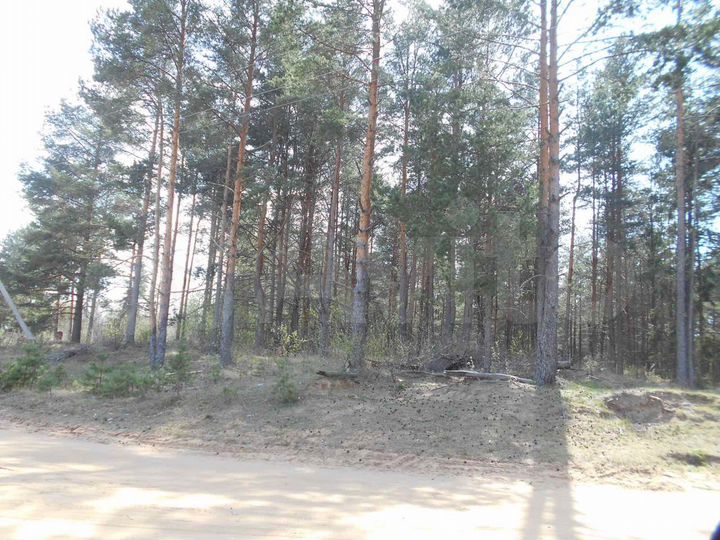 Участок 15 сот. (ИЖС)