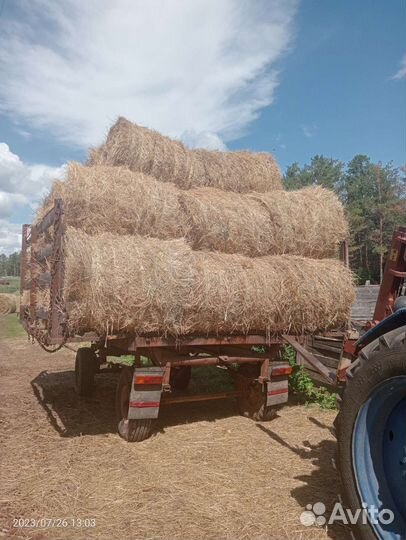 Продам сено в тюках