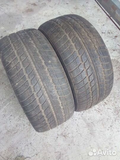 Sunny NP203 255/40 R19