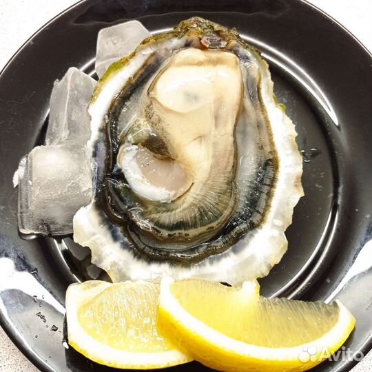 Живые устрицы, мидии