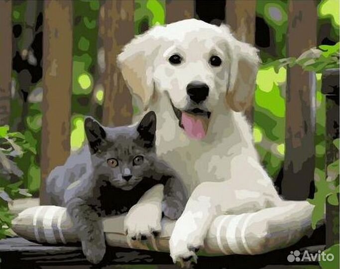 Картина по номерам 40х50 