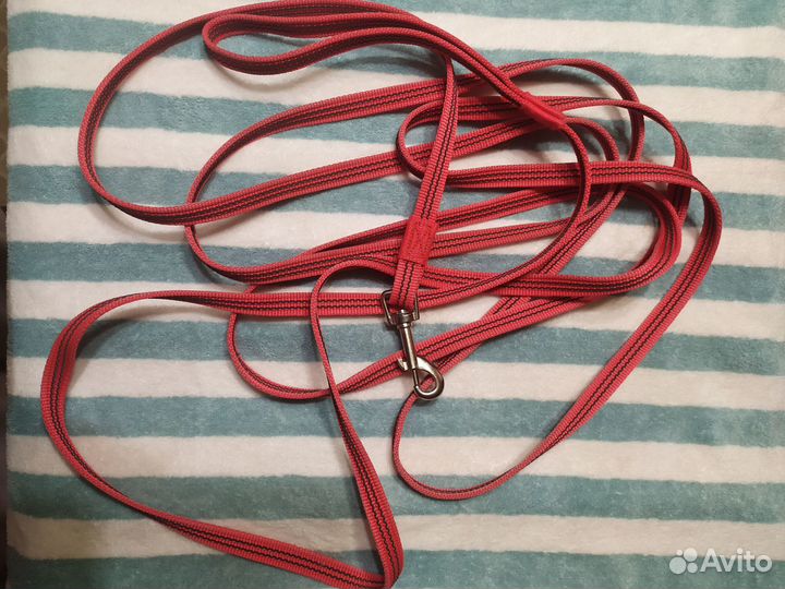 Амуниция для собак, шлейки, намордник