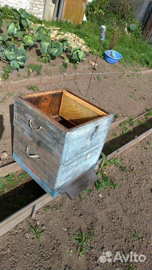 Улей пчелиный