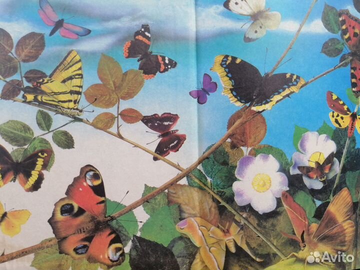 Энциклопедия для самых маленьких