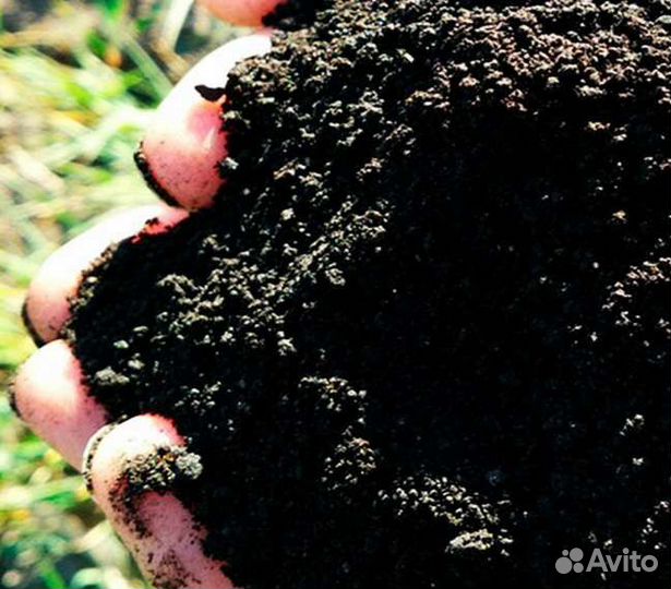 Плодородный грунт, Торф, Чернозём, Земля под газон