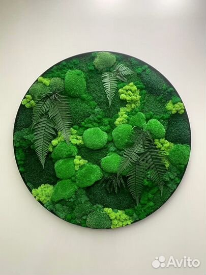 Стабилизированный мох