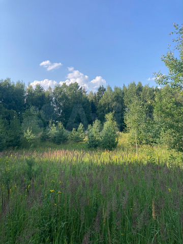 Участок 5,4 га (СНТ, ДНП)