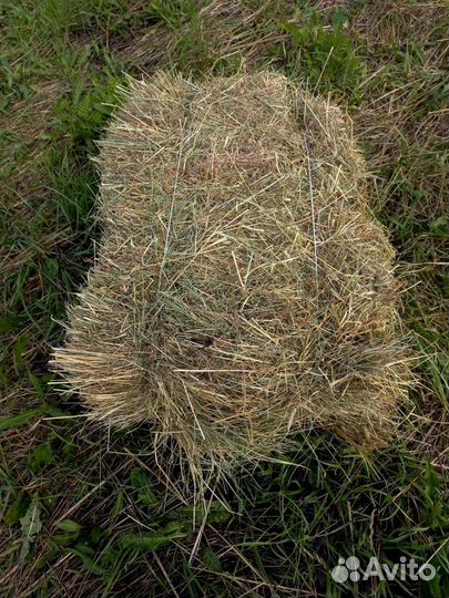 Сено в кипах