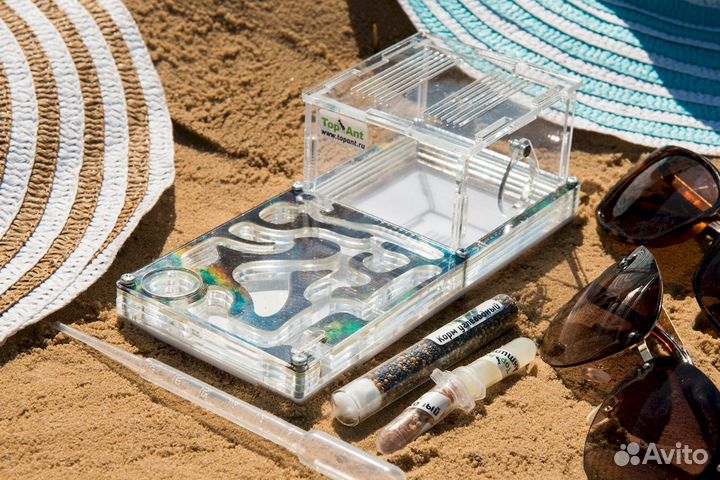 Ферма с муравьями / Формикарий