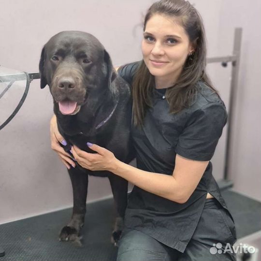 Стрижка животных. Грумер