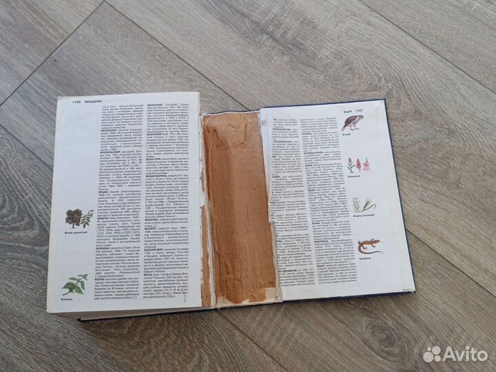 Словарь энциклопедический бу