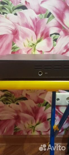 DVD плеер с караоке bbk