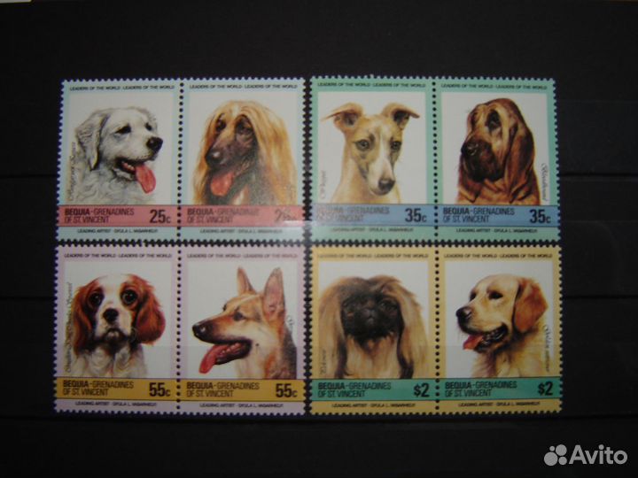 Фауна. Собаки