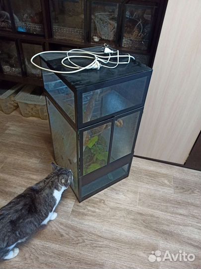 Террариум для рептилий